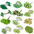 6/10/12/25/pcs Mixed Green Plant Flower Cherry Stamen Berries Bundle DIY Christmas Wedding Cake Gift Box Wreaths Decor