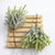 6 pieces artificial plant grass wedding wreath Christmas decoration accessories artificial flowers