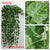 1pcs 90cm Artificial Ivy Leaf Artificial Plants Green Garland Plants Vine Fake Foliage Home Decoration Wedding Party Decoration