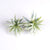 10pcs artificial flower leaves plant bouquet wedding home Christmas decoration DIY wreath accessories scrapbooking fake flowers