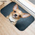 Hongbo New Creative Rugs Washable Funny Dog Doormat Bath Mats Foot Pad Home Decor Bathroom Mats Door Mat Floor Mat