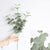 Artificial Leaves Branch Retro Green Silk Eucalyptus Leaf for Home Decor Wedding Plants Faux Fabric Foliage Room Decoration 68CM