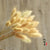 7PCs Bulrush Natural Dried Flowers Small Pampas Grass Phragmites DIY Artificial Flowers Plants For Decor Home Wedding Decoration