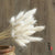 7PCs Bulrush Natural Dried Flowers Small Pampas Grass Phragmites DIY Artificial Flowers Plants For Decor Home Wedding Decoration