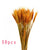 7PCs Bulrush Natural Dried Flowers Small Pampas Grass Phragmites DIY Artificial Flowers Plants For Decor Home Wedding Decoration